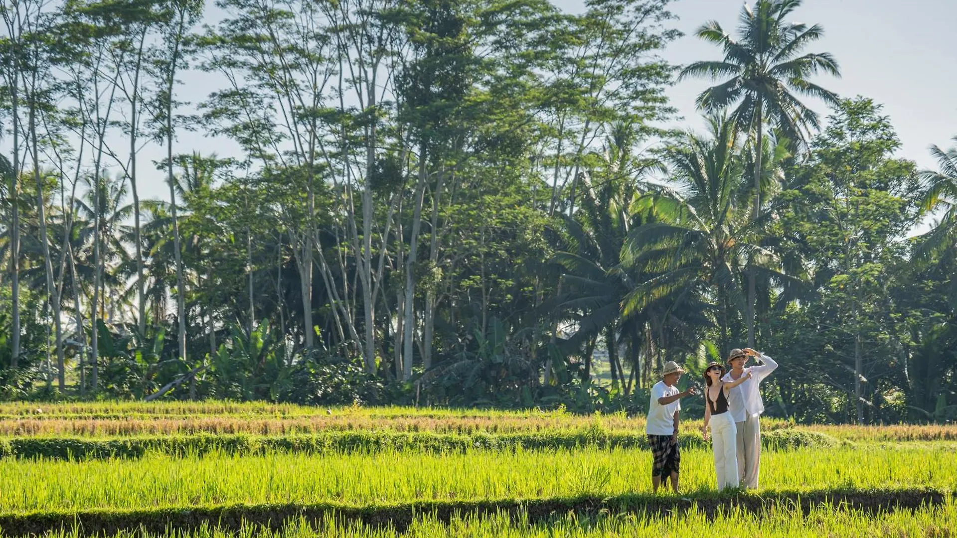 Metland Venya Ubud אתר נופש אובוד